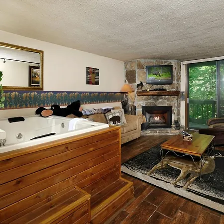Bear Creek 167 Villa